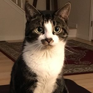 Meet your Posher, Julie